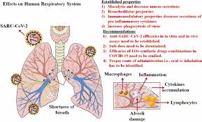 It is a popular aromatherapy oil for. Covid 19 And Therapy With Essential Oils Having Antiviral Anti Inflammatory And Immunomodulatory Properties Springerlink
