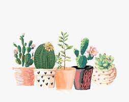A cactus is just an office plant but deadlier. 140 Cute Cacti Ideas Cactus Cactus Art Planting Flowers