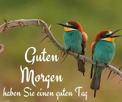 We did not find results for: Good Morning Wishes In German Pictures