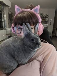 The film documents a mother and son moving to a new house while being subtly stalked. The Other Night I Was Watching A Movie With My Bf Apollo Decided I Was Not Petting Him Enough While He Was On My Lap And He Decided I Should Only Watch