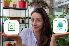 Plant identification apps are useful tools for gardeners and not only. Plant Id App Product Review Gardenstead