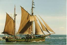 Image result for Brown 1988 Fleet