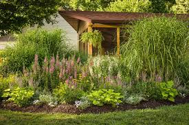 Magic Show Enchanted Indigo Spike Speedwell Veronica Hybrid Desert Landscaping Landscape Plans Backyard Landscaping