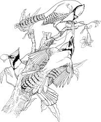 Pin On Kids Coloring Book