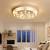 Living Room Modern Led Ceiling Lights