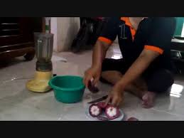 We did not find results for: Video Cara Membuat Jus Kulit Manggis Youtube