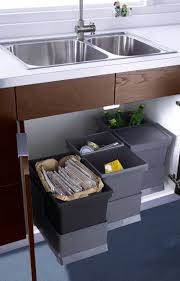 Kitchen Design Idea Hide Pull Out Trash Bins In Your Cabinetry Under Kitchen Sink Organization Modern Kitchen Trash Cans Kitchen Trash Cans