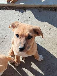 Another shout out to Dr....