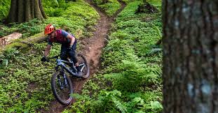 Santa Cruz Bronson III CC - A Bike Review in 3 Acts