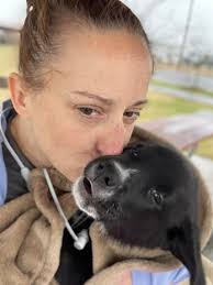 Have you met Lyndon? She is an adorable baby girl around 7 weeks old pup  with brains and beauty accepting applications for pre-adoption at  pittfriends.com