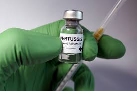 Hepatitis a , hepatitis b , typhoid , yellow fever , japanese encephalitis , rabies , meningitis , polio , measles, mumps and rubella (mmr) , tdap (tetanus, diphtheria and pertussis) , chickenpox , shingles. Antibody Response Seen With Investigational Recombinant Pertussis Toxin Vaccine Infectious Disease Advisor