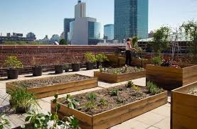 Moma Ps1 Rooftop Garden Google Search Rooftop Garden Rooftop Garden