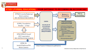 Level and standards of the accountancy. So You Wanna Be An Accountant Studymalaysia Com