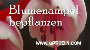 Blumenampel Fur Den Balkon Bepflanzen Youtube
