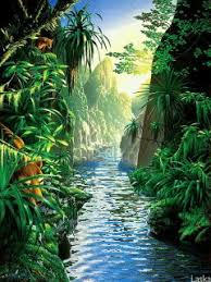 What makes a good wallpaper gif? 27 Nature Gif Hd Wallpapers Venera Wallpaper