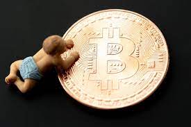 In other words, buy low and sell high. Guide Cryptocurrency Trading For Beginners Must Know
