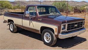 Image result for Brown 1979 GM