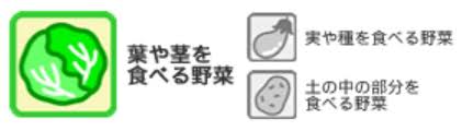 コマツナ アブラナ科 １年中つくれて収穫まで約１ヶ月のお手軽野菜 アイリスプラザ メディア