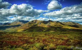 In my mind i kept comparing tombstone to denali. Mountain Top Tombstone Territorial Park Poster By C Huang