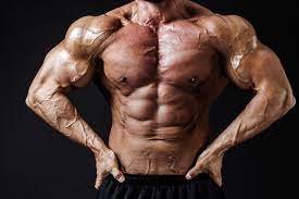 筋肉がモリモリつく！？「ミオスタチン関連筋肉肥大」とは！？ | パーソナルトレーニングならASPI(アスピ)