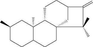 Image result for Callilepis laureola