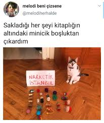 Dilay Dilay Adli Kullanicinin Komik Seyler Panosundaki Pin 2020 Komik Seyler Komik Komik Capsler