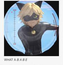 Chat You Smexy Beast Miraculous Ladybug Miraculous Ladybug And Cat Noir Cat Noir And Ladybug