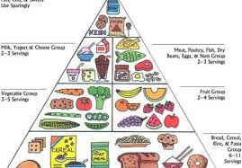 Do you think eating healthy means you have to radically change your diet and give up. Create A Healthy Diet Plan For Athletes By Coreyman44 Fiverr