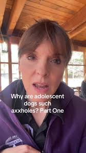 Helen Howell Dog Behaviourist