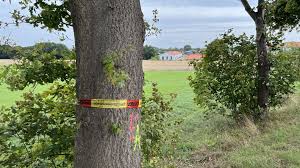 Celebrating Gabriela Garcia-a Sundance Institute Latine Fellow