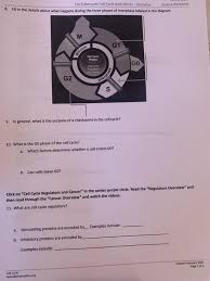 Documents similar to the cell cycle worksheet answers.doc. Cell Cycle Student Worksheet Answer Key Cell Division Homework 1 Answer Key Worksheet Template Cell Cycle Labeling Worksheet Answers Atomic From The Cell Cycle Worksheet Answers Source