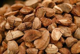 Brazil nuts are edible seeds which grow on the brazil nut tree. The Brazil Nut How It S Grown