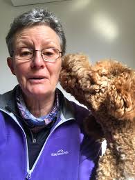 Hi! My retired mum And stepdad are moving to England from Belfast middle of  August. Trying to find them a rental before they buy is proving impossible!  Is there any medium-long term