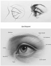 Karakalem Adim Adim Goz Cizimleri Gercekci Ve Renkli Guzel Sozler Graphite Drawings Eye Drawing Tutorials Eye Drawing
