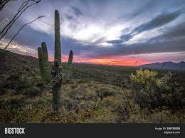 Maybe you would like to learn more about one of these? Tucson Arizona Sunset Image Photo Free Trial Bigstock