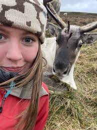 How Isla became a reindeer herder…