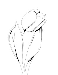 This tulip in a heart card is the cutest card your kids can make, either for valentine's day or mother's day. Free Printable Tulip Coloring Pages For Kids