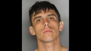 Man who ran over CHP officer sentenced to prison