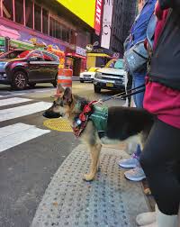 Image result for Lorenda Green 1929 Dodge