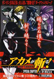 pin by berensaat on character design 5 akame ga akame ga kill anime