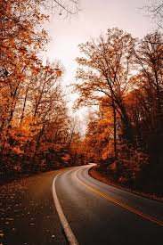 50+ Gorgeous Free Fall Wallpaper for your Phone!