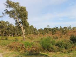 Le Circuit Vert Vers Les Sommets Seignosse Landes Seignosse Tourisme Landes