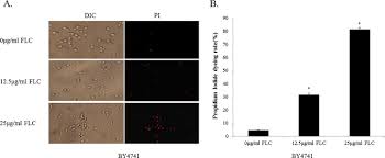 Incepand cu aceasta data, nici persoanele fizice. Fluconazole Inhibits Cellular Ergosterol Synthesis To Confer Synergism With Berberine Against Yeast Cells Sciencedirect