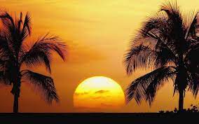 Free sunset wallpapers and sunset backgrounds for your computer desktop. Sunset Beaches Wallpapers Wallpaper Cave