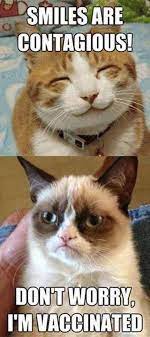 Best Funny Quotes : collection funny cats pics memes (500 pics) for June  2016 #funnycats #funnycatsm... - SoloQuotes | Your daily dose of Motivation  &amp; Positivity Quotes and Sayings