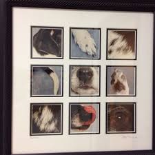 Cute Way To Display Pet Pictures Diy Dog Stuff Dog Rooms Dog Decor