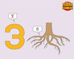 # kunci jawaban lengkap sesuai update game tebak gambar versi terakhir # aplikasi ini sangat ringan, dengan besar file hanya 1 mb saja. Kunci Jawaban Tebak Gambar Level 1 Soal Nomor 11
