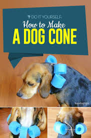 If your pup is a dog cone escape artist or determined to find a loophole to get at his wound, it can help to apply a soothing topical ointment or spray like silver honey to curb your dog's desire to bite and scratch. How To Make A Dog Cone A Simple Diy Guide