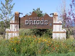 Welcome Signs To Driggs Md Landscaping Driggs Idaho Daryl Thomson Fabricator Entrance Signage Outdoor Signs Subdivision Entrance