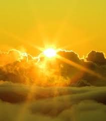 See more ideas about yellow aesthetic, yellow, flower aesthetic. Aesthetic Yellow Images On Favim Com